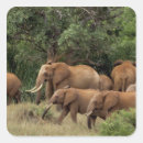 Search for tusk stickers Trunk