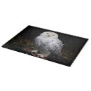 Search for owls cutting boards Snowy owl