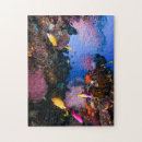 Search for tropical fish puzzles Coral