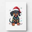 Search for christmas tree plaques Funny
