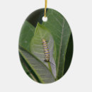 Search for caterpillar ornaments Milkweed