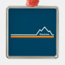 Search for charleston ornaments West virginia