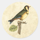 Search for avian stickers Domestic