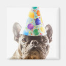 Recherche de chiot magnets Animaux mignons