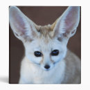 Search for foxie binders Animal