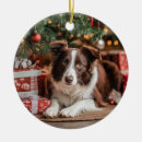 Search for border collie ornaments Brown