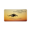 Search for pirate ships return address labels Boy