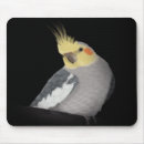 Recherche de cockatiel tapis souris Perroquet