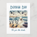 Search for bodega postcards Ocean