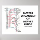 Recherche de neurologue art Médecin