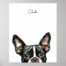 Search for peek posters Watercolor
