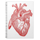 Search for heart anatomy notebooks Medicine