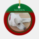 Search for wears ornaments Green