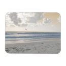 Search for coast rectangular magnets Seascapes