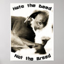 Recherche de pitbull posters Race