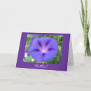 Search for glories cards Morning glory