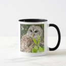 Search for barred owl mugs Wildlife