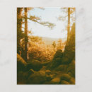 Search for big bear lake postcards Camping