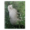 Search for cute sheep notebooks Woolly