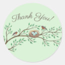 Search for robins nest stickers Bird