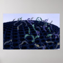 Recherche de membrane posters Horizontale