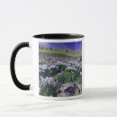 Search for boulder colorado mugs Nature