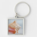 Search for florida seashells keychains Coast