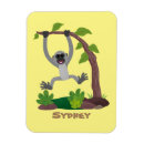 Search for gibbon magnets Ape
