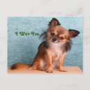 Recherche de salutation de chiot Chiots