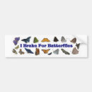 Search for butterfly bumper stickers Butterflies