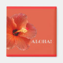 Recherche de de ketmie refrigérateur magnets Aloha