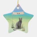 Search for russian blue cat ornaments Pet