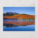 Search for algonquin postcards Lake