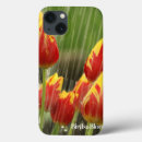 Search for tulip pictures cases Garden