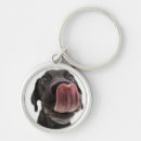 Search for labrador keychains Cute
