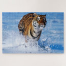 Recherche de tigre de bengale puzzles Chats