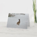 Search for hare christmas cards Winter