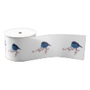 Recherche de oiseaux mignons rubans Oiseau mignon