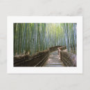 Recherche de bambous cartes postales Vert