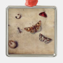 Search for insects ornaments Marine