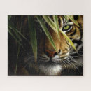 Search for tiger face puzzles White