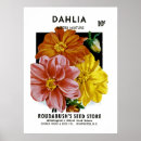 Search for vintage seed packets posters Garden