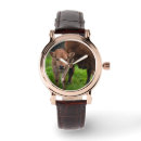 Search for dairy watches Livestock