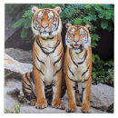 Search for tiger face tiles Stripes