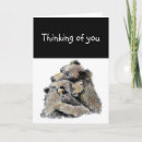 Search for care bear cards Thinking of you