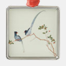 Search for ornithology ornaments Colour