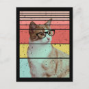 Recherche de funny cat cartes postales Amoureux des chats