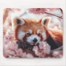 Recherche de panda rouge tapis souris Animal