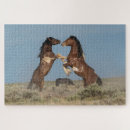 Search for wild horse puzzles Stallion
