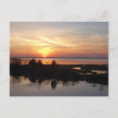 Recherche de baie de chesapeake cartes postales Nature